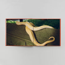 Load image into Gallery viewer, BOOK book