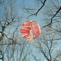 Load image into Gallery viewer, Glean download