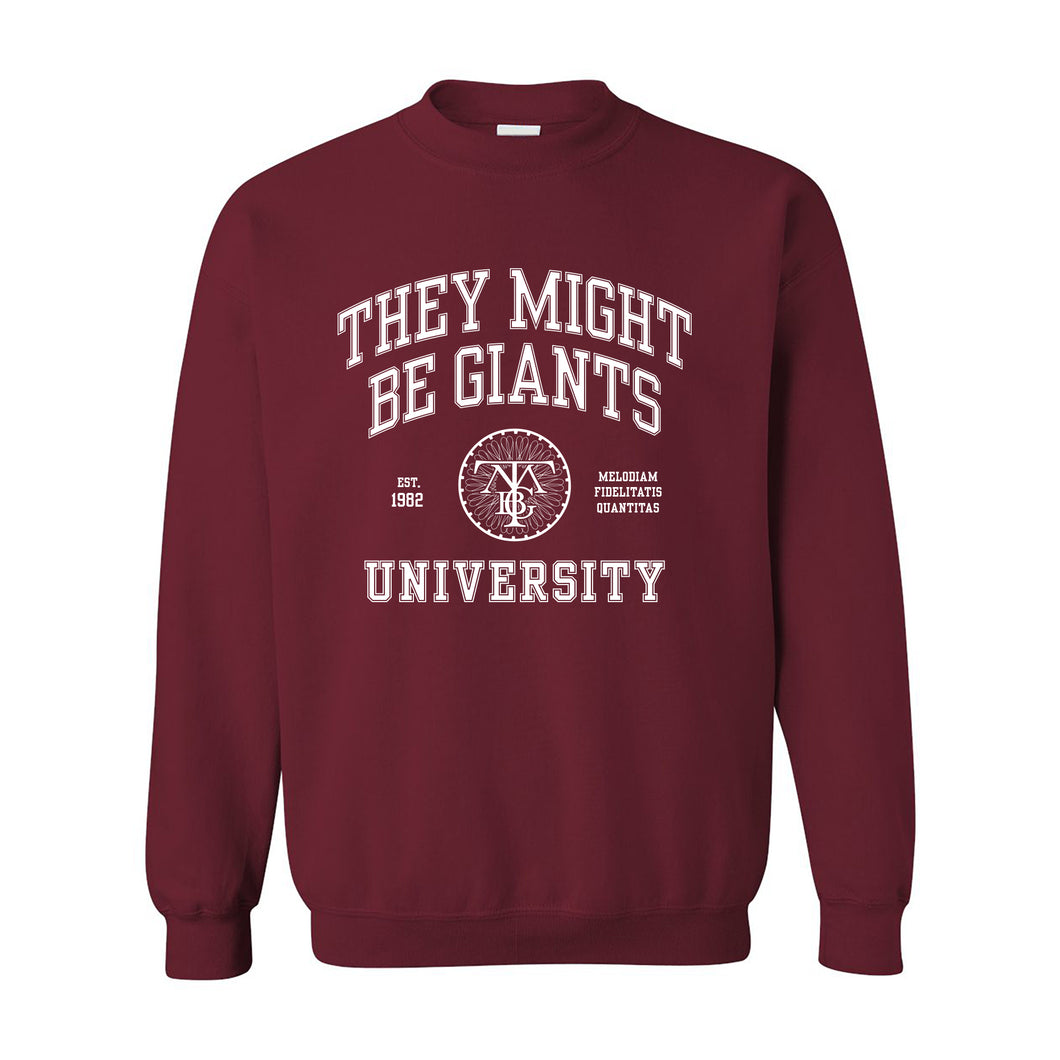 TMBG University Sweater (Unisex)
