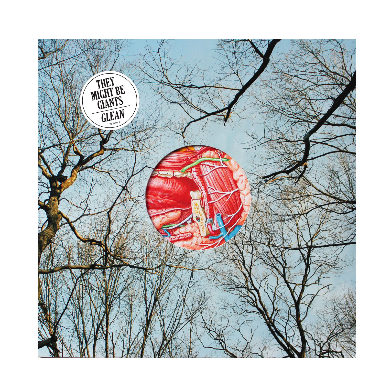 Glean Clear with Red Wisps 180g Vinyl – They Might Be Giants
